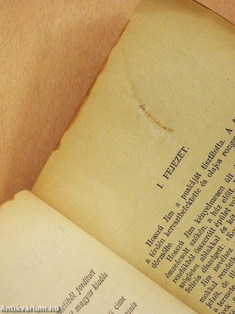 A különös jövevény