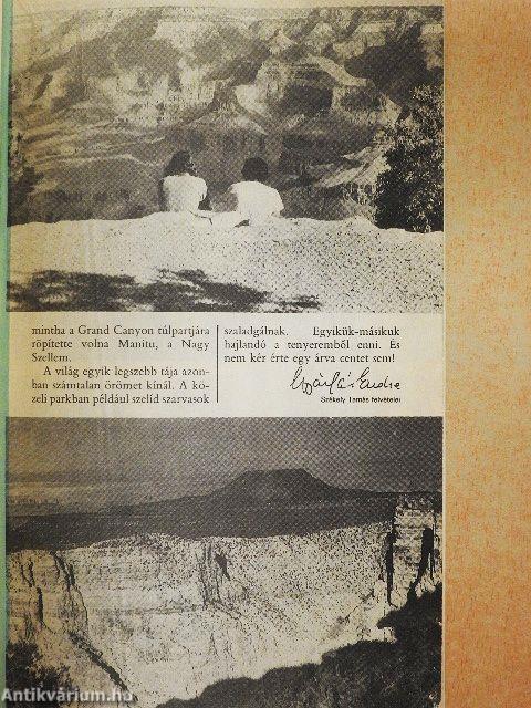 Nők Magazinja 1988/10.