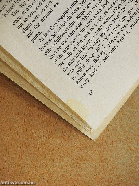 The Ride of Johnny Ringo