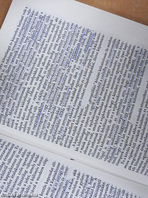 A közéleti ember bukása