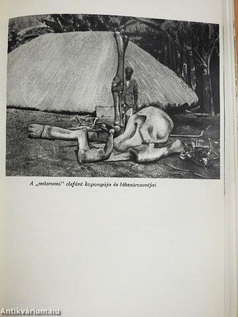 Utolsó afrikai vadászatom