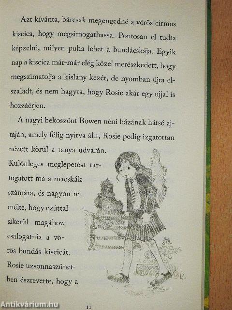 Cirmos barátra vágyik