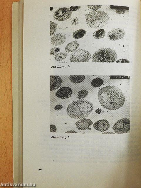 DNS-Repair és klinikai vonatkozásai
