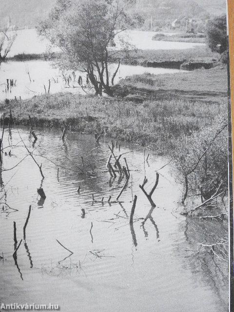 Székely Jeruzsálem