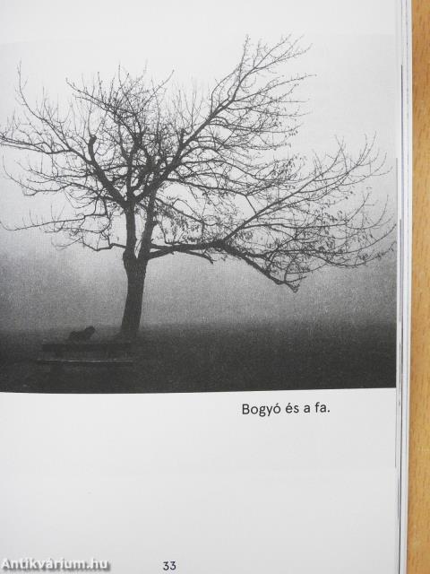 Soliloquor (dedikált példány)