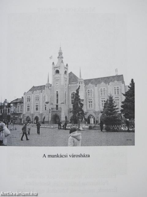 Szomorú fűz (dedikált példány)