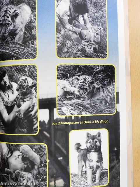 Mancsok a tenyeremben I. (dedikált példány)