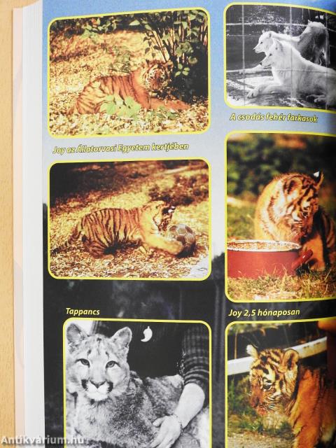 Mancsok a tenyeremben I. (dedikált példány)