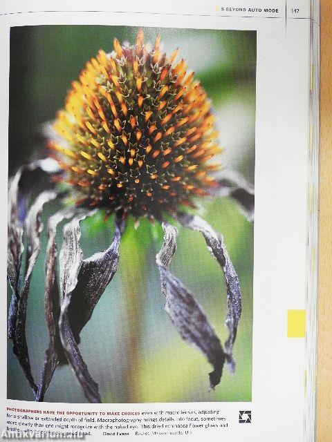 National Geographic Complete Photography