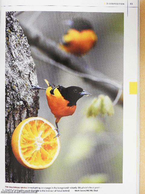 National Geographic Complete Photography