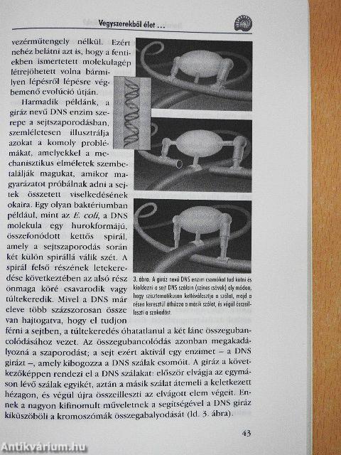 Darwin majmot csinált belőlünk?