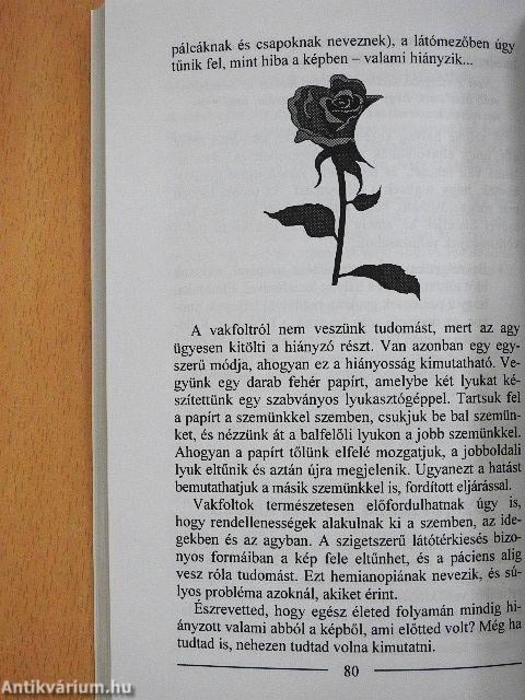 A halló fül/A tiszta szem