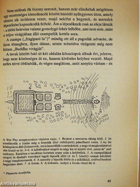 Háromfejű elefánt napernyővel