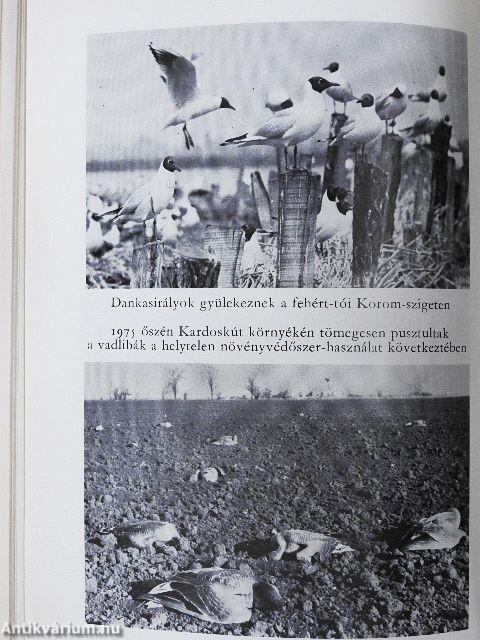 Élő múzeumok