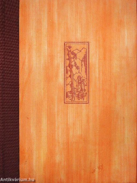 Hajó a város közepén