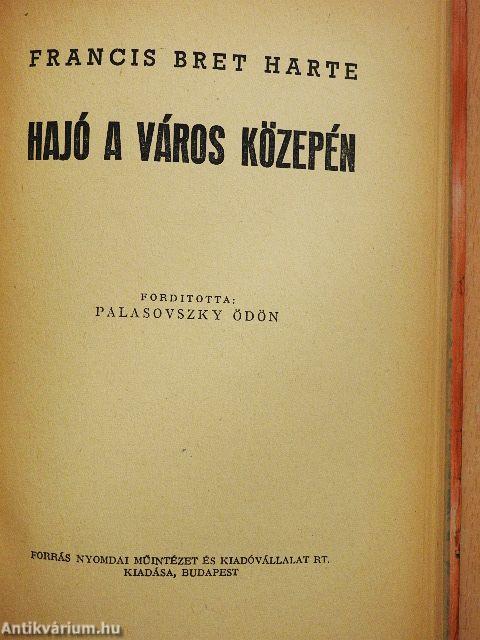 Hajó a város közepén