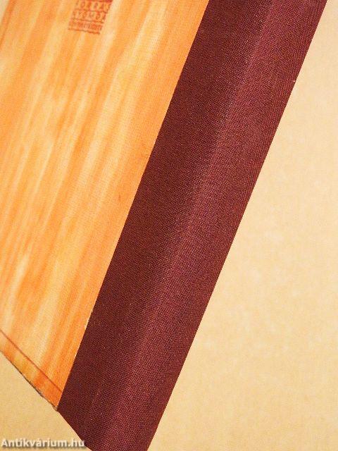 Hajó a város közepén