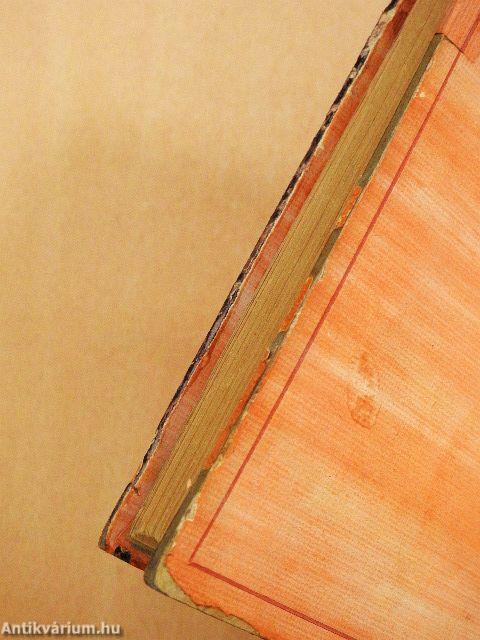 Hajó a város közepén