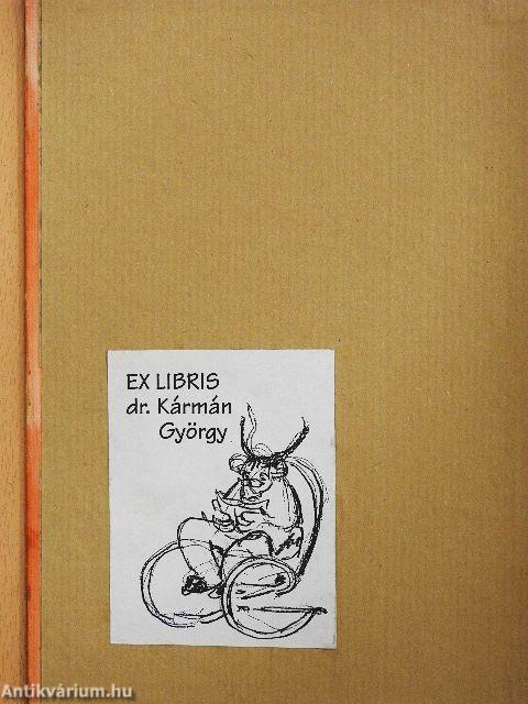 Hajó a város közepén