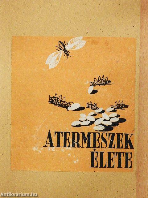 A termeszek élete