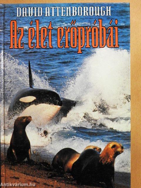 Az élet erőpróbái