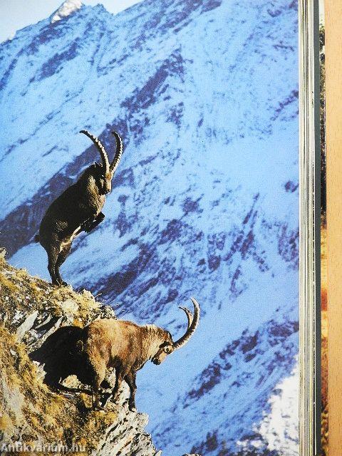 Az élet erőpróbái