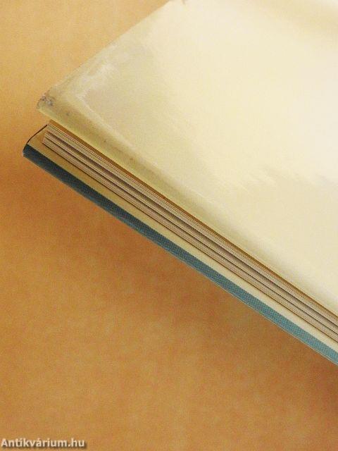 Budapest régi térképeken