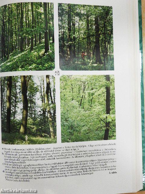 Erdészeti ökológia