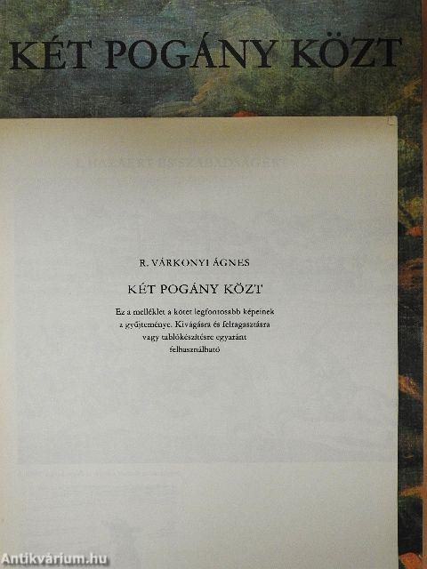 Két pogány közt