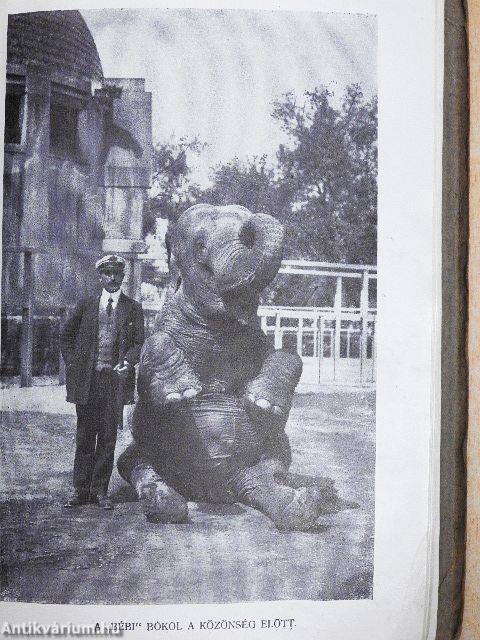 A Budapesti Állatkert útmutatója