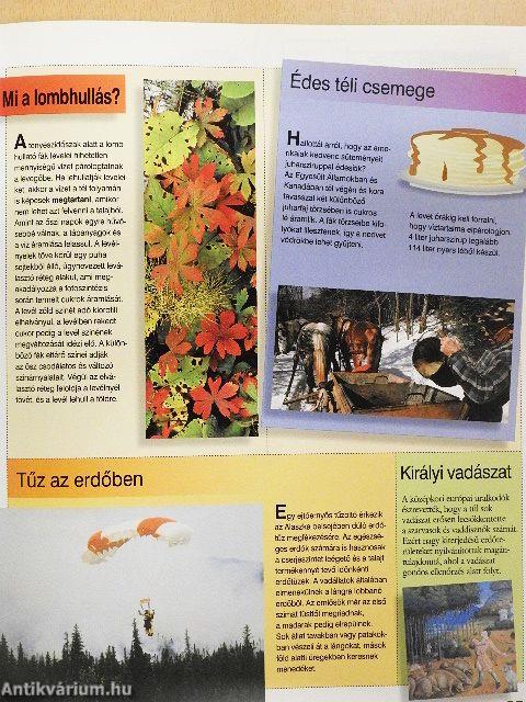 Környezetünk