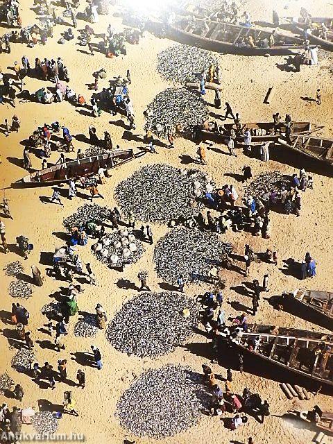 Földünk a magasból