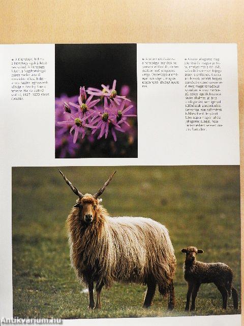 Nemzeti parkok Magyarországon