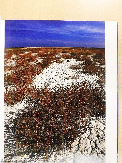 Nemzeti parkok Magyarországon