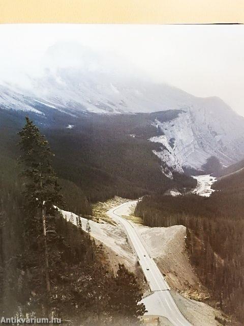 Az építészet csodái