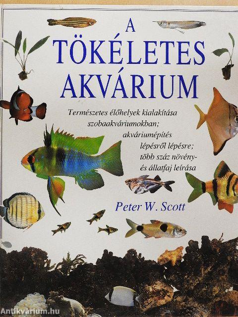 A tökéletes akvárium