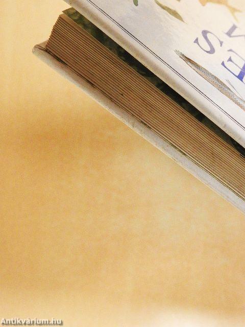 A tökéletes akvárium