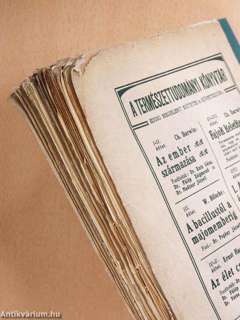 Az emberi természet