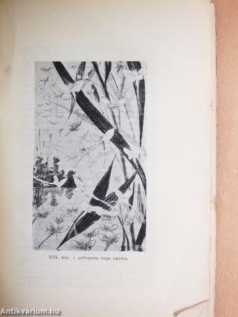 Az emberi természet