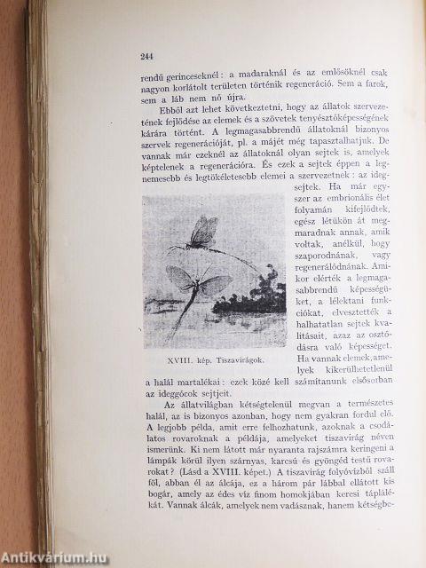 Az emberi természet