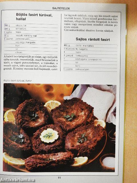 99 sajt- és tojásétel 33 színes ételfotóval