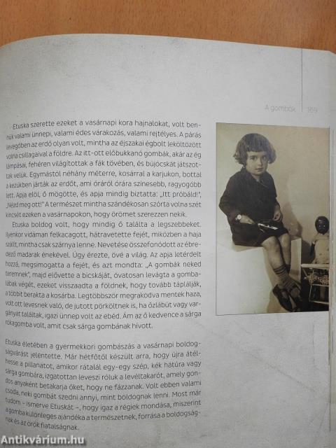 Akaratunk gyógyereje (dedikált példány)