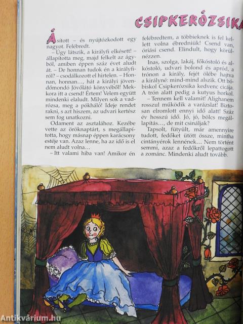 Mesék a mellényzsebemből (kétszeresen dedikált példány)