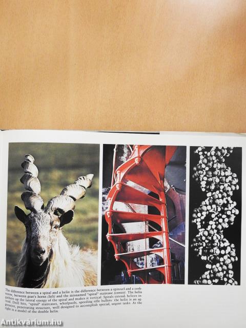 The Search for Solutions (dedikált példány)