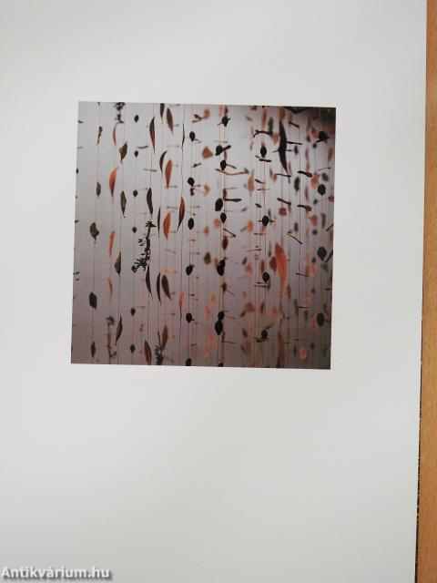 Ilona Németh (dedikált példány)