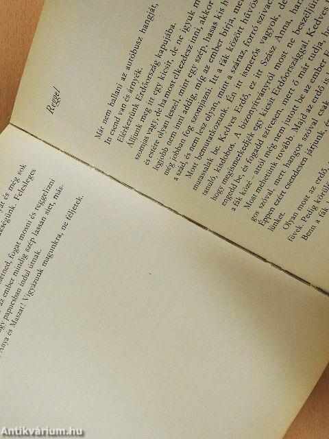 Kisanna Erdőországban