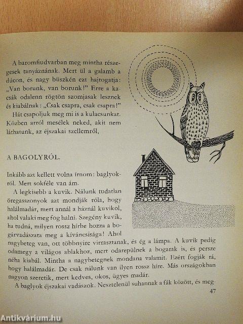 Kisanna Erdőországban