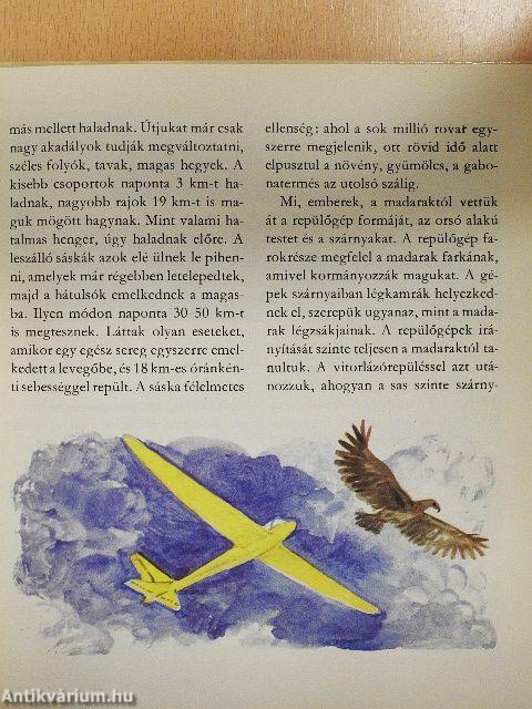 Gyorsan, gyorsabban, még gyorsabban