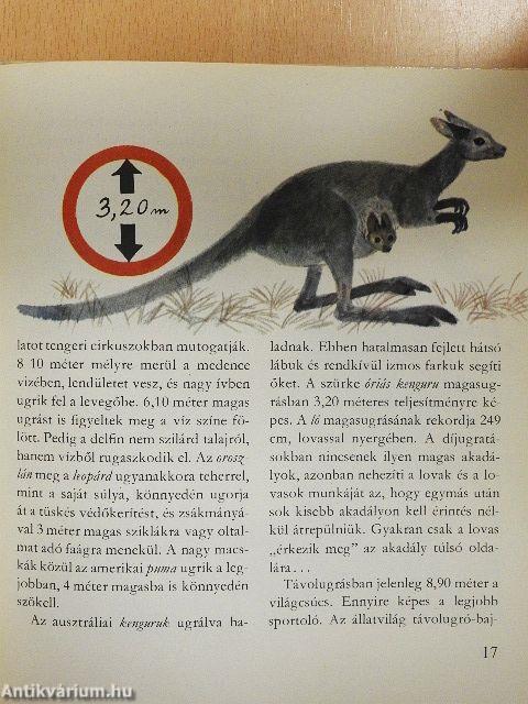 Gyorsan, gyorsabban, még gyorsabban