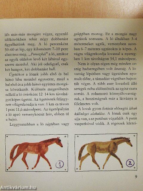 Gyorsan, gyorsabban, még gyorsabban